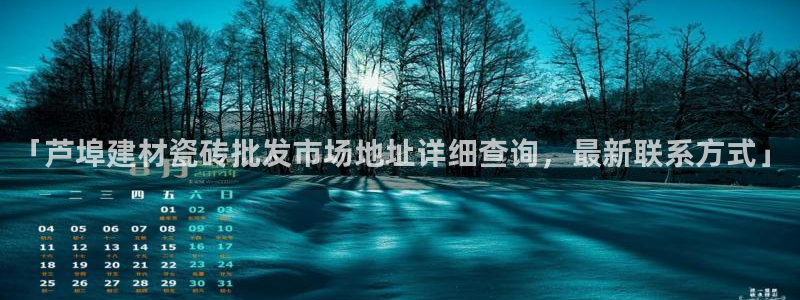 杏鑫官网最新信息