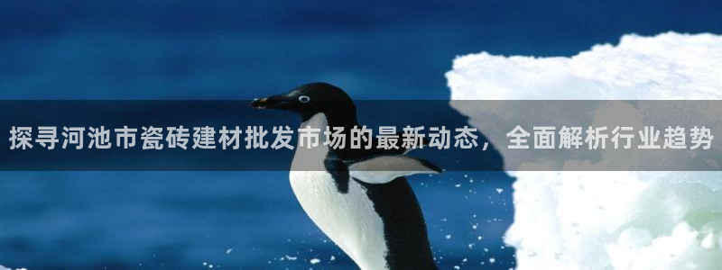 杏鑫官方平台怎么样