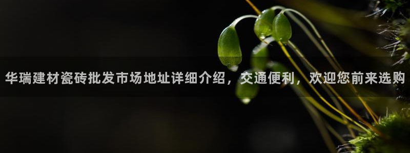 杏鑫娱乐怎么样