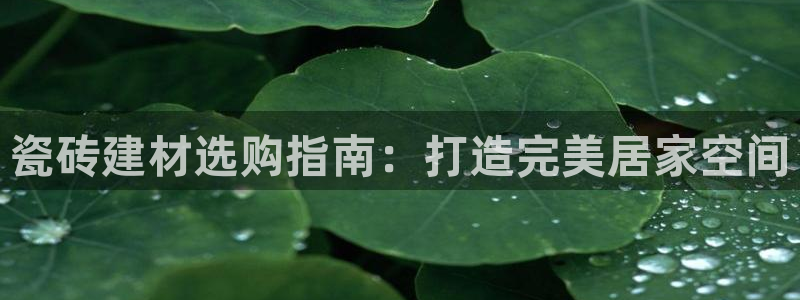 杏鑫娱乐负责人