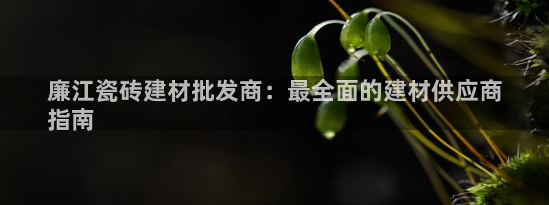 杏鑫娱乐官方网站客户端下载安装