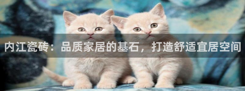 杏鑫平台怎么样知乎