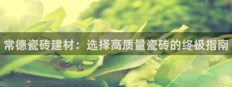 杏鑫平台代理怎么样可靠吗