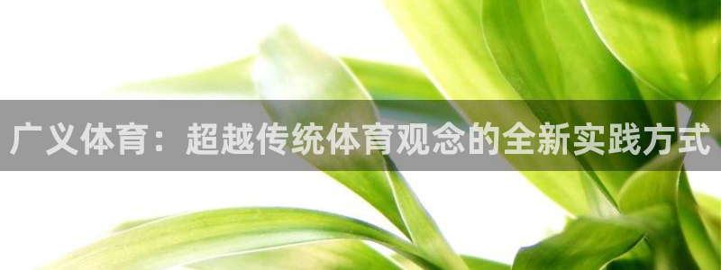 678体育：广义体育：超越传统体育观念的全新实践方式