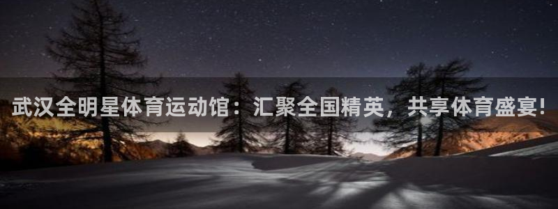 678体育官网地址：武汉全明星体育运动馆：汇聚全国精英，共享体育盛宴!
