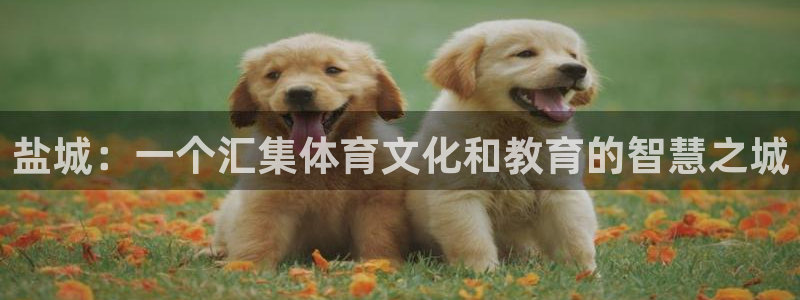 678体育官网：盐城：一个汇集体育文化和教育的智慧之城