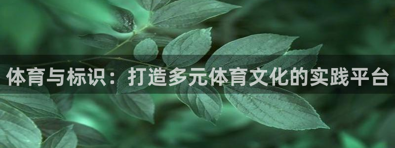 678体育知识：体育与标识：打造多元体育文化的实践平台