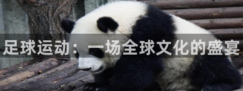 皇冠678体育：足球运动：一场全球文化的盛宴