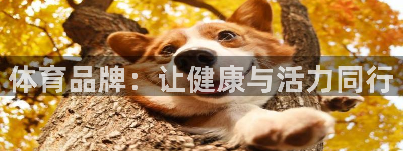 皇冠678体育：体育品牌：让健康与活力同行