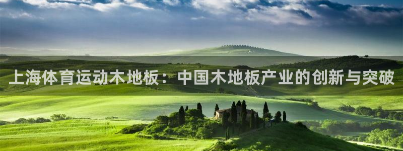 678体育知识：上海体育运动木地板：中国木地板产业的创新与突破