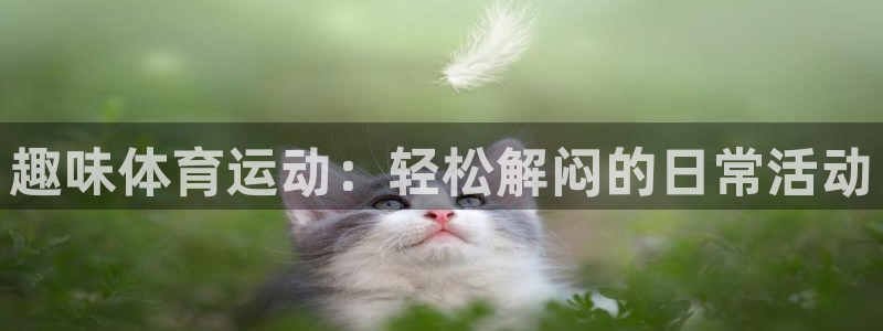 678体育官网地址：趣味体育运动：轻松解闷的日常活动