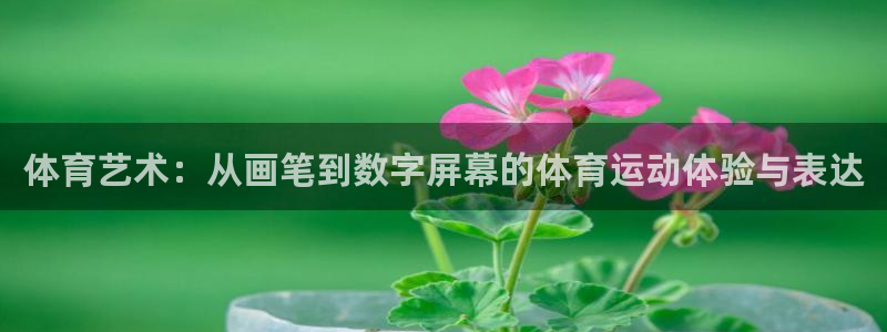 678体育官网地址：体育艺术：从画笔到数字屏幕的体育运动体验与表达