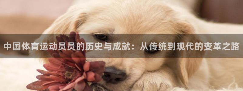 678体育知识：中国体育运动员员的历史与成就：从传统到现代的变革之路