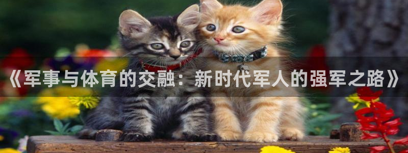 678体育官网下载：《军事与体育的交融：新时代军人的强军之路》