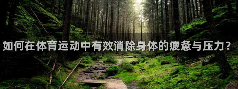 678体育知识：如何在体育运动中有效消除身体的疲惫与压力？