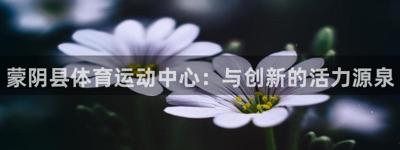 678体育知识：蒙阴县体育运动中心：与创新的活力源泉