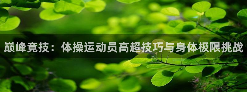 678体育官网：巅峰竞技：体操运动员高超技巧与身体极限挑战