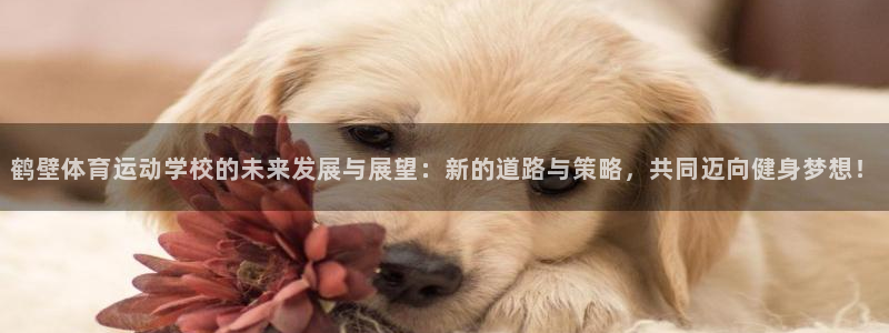 678体育知识：鹤壁体育运动学校的未来发展与展望：新的道路与策略，共同迈向健身梦想！