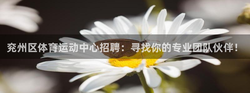 678体育app：兖州区体育运动中心招聘：寻找你的专业团队伙伴！