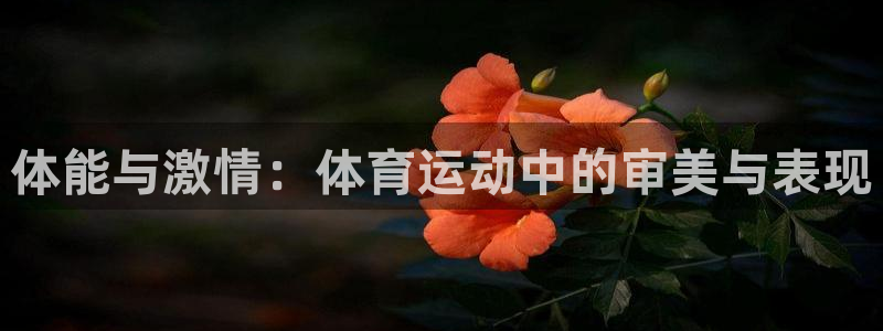 678体育：体能与激情：体育运动中的审美与表现