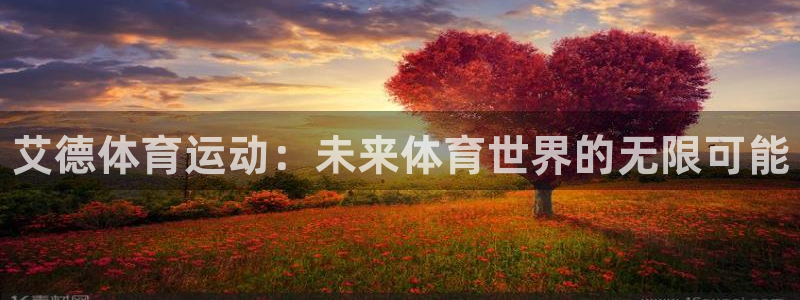 678体育：艾德体育运动：未来体育世界的无限可能
