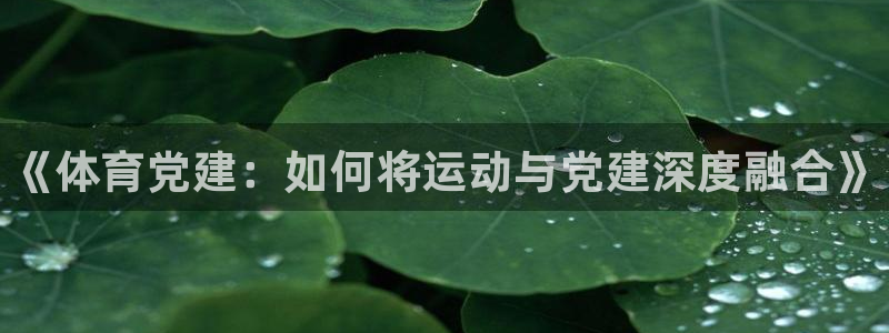 678体育官网下载：《体育党建：如何将运动与党建深度融合》