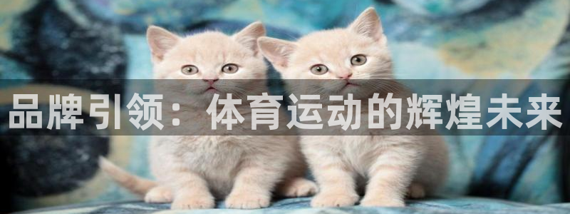 678体育官网下载：品牌引领：体育运动的辉煌未来