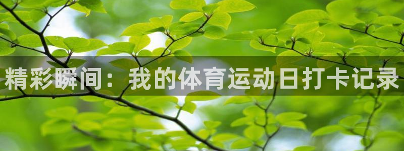 678体育app：精彩瞬间：我的体育运动日打卡记录