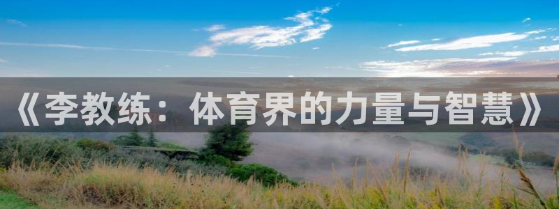 678体育官网