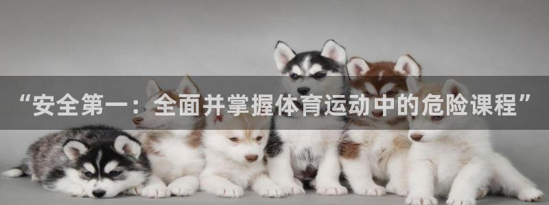 678体育：“安全第一：全面并掌握体育运动中的危险课程”