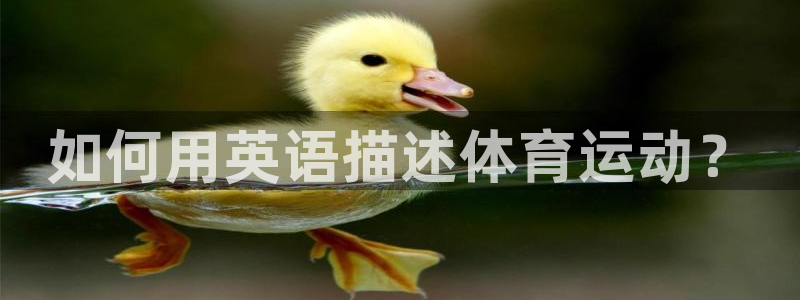 678体育官网下载：如何用英语描述体育运动？