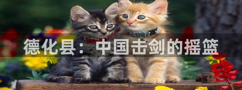 678体育官网：德化县：中国击剑的摇篮