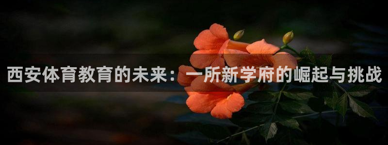 678体育官网：西安体育教育的未来：一所新学府的崛起与挑战