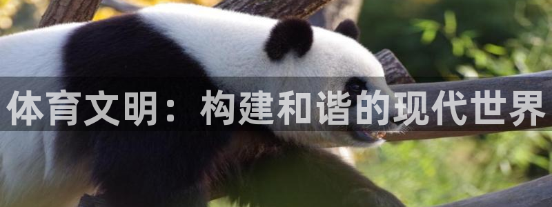 678体育app：体育文明：构建和谐的现代世界