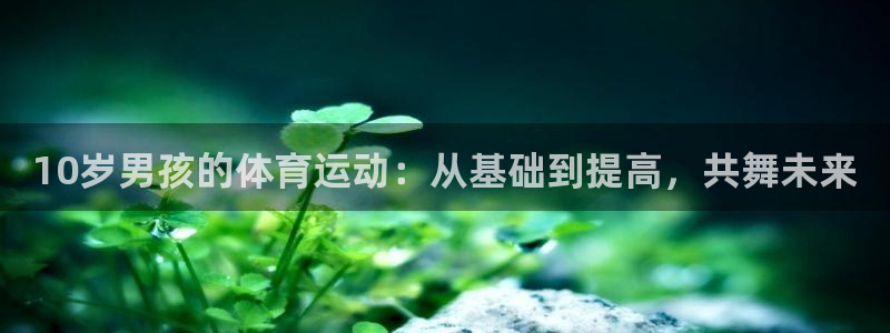 678体育app：10岁男孩的体育运动：从基础到提高，共舞未来