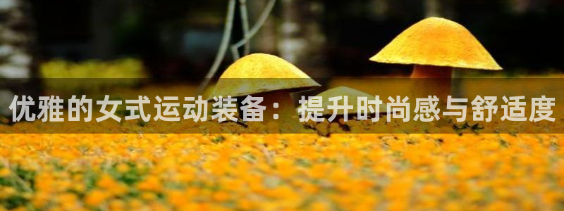 678体育官网下载：优雅的女式运动装备：提升时尚感与舒适度