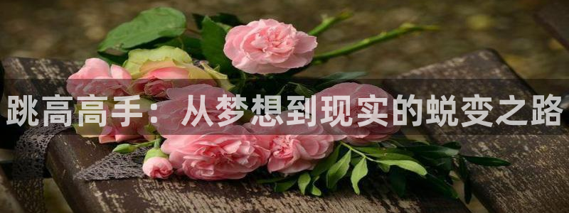 678体育app：跳高高手：从梦想到现实的蜕变之路