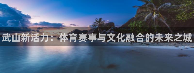 皇冠678体育：武山新活力：体育赛事与文化融合的未来之城