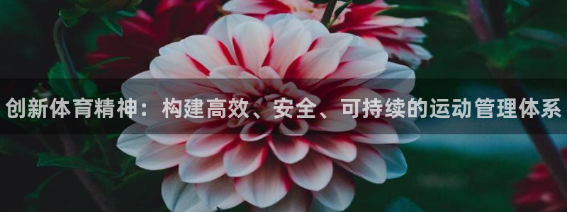 678体育知识：创新体育精神：构建高效、安全、可持续的运动管理体系