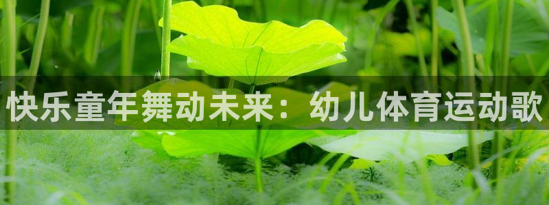 678体育官网地址：快乐童年舞动未来：幼儿体育运动歌