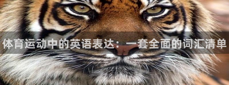678体育官网地址：体育运动中的英语表达：一套全面的词汇清单