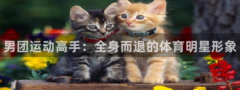 678体育app：男团运动高手：全身而退的体育明星形象