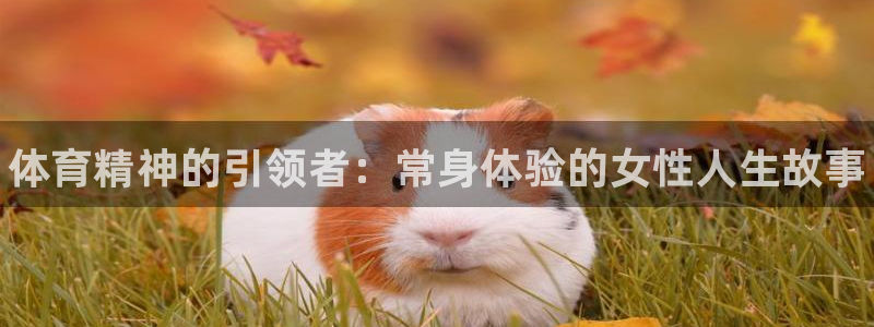 678体育：体育精神的引领者：常身体验的女性人生故事